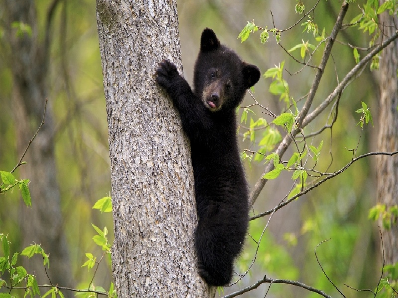 刘女士成功案例